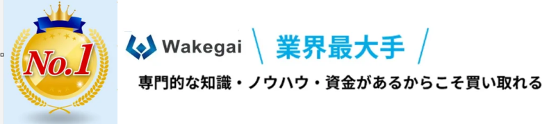 ワケガイ,評価,最大手